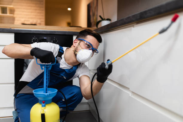 Best Pest Control Near Me  in Slaton, TX