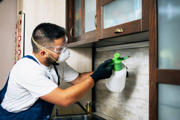 Best Bed Bug Extermination  in Slaton, TX