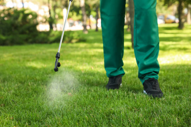 Best Mosquito Control Services  in Slaton, TX