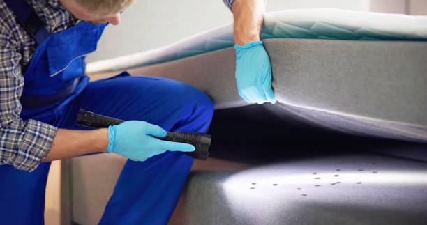Trusted Slaton, TX Pest Control Experts