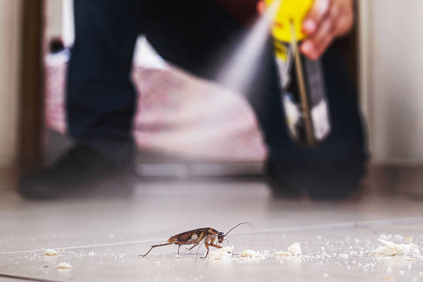 Best Best Pest Control Companies  in Slaton, TX