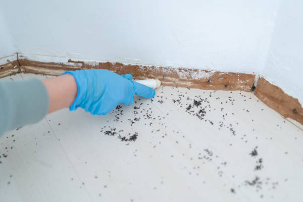 Best Commercial Pest Control Services  in Slaton, TX