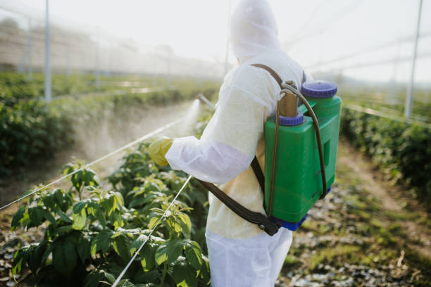 Best Affordable Pest Control Services  in Slaton, TX